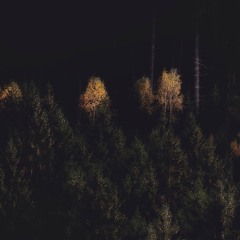 Pensees & Sublab // Hidden Hills