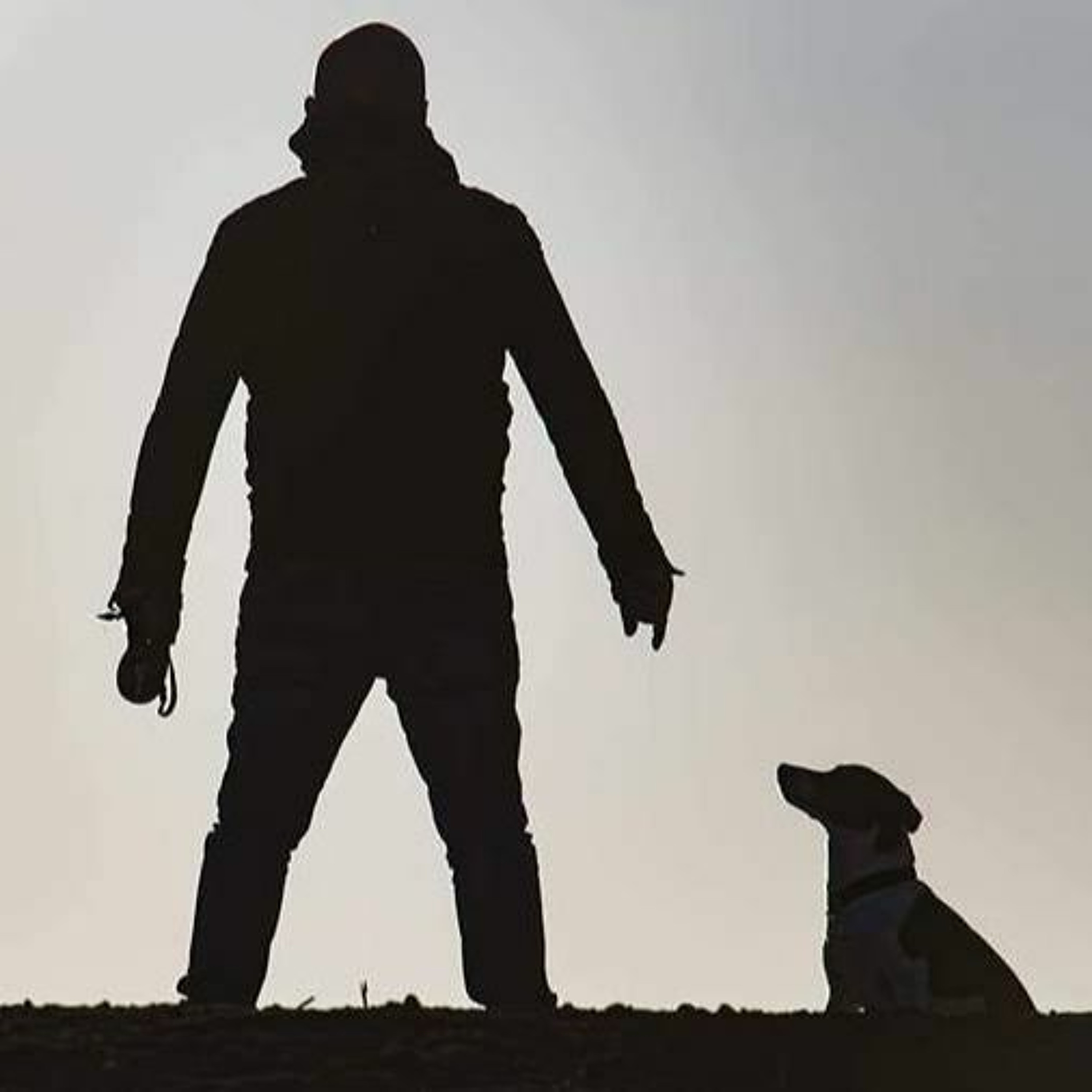 TO BYL ZASE DEN - STŘEDA 8.1.