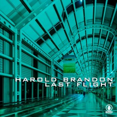 Harold Brandon - Last Flight (Original Mix)