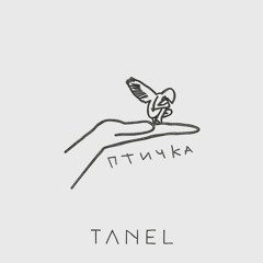 TANEL - Птичка