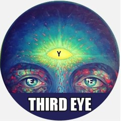 FIRST BASS SOUND (V.I.P. clip)