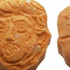 Donoban Trump Session 1
