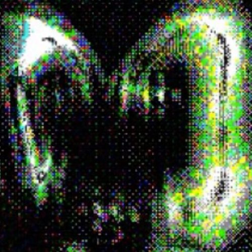 Sofoca Tool (Bonus Track)