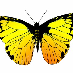 Butterflies (Prod. Nextlane:Numayne)