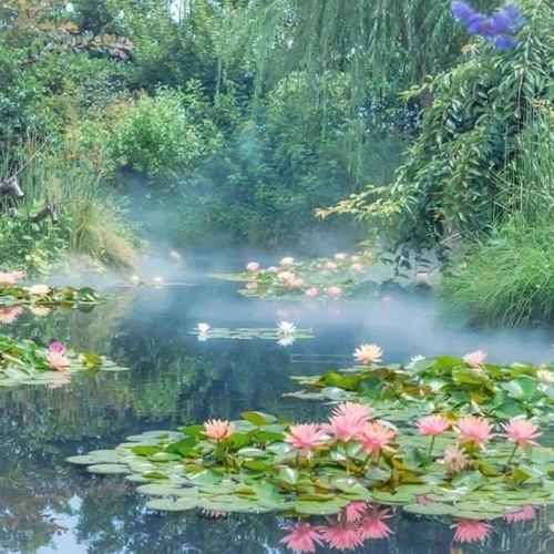 blackwinterwells - plainswalker w/ luthien & chach (prod. lovbug)