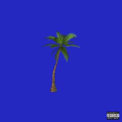 Shark - Columbia Freestyle