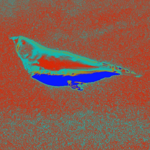 Intermittent Flight