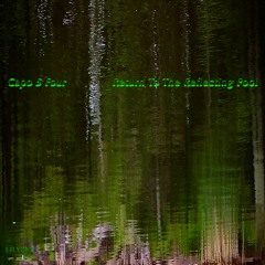 Return To The Reflecting Pool