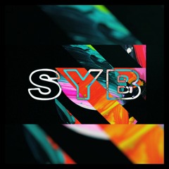 The Chainsmokers ft. 5SOS - Who Do You Love (SYB Remix)