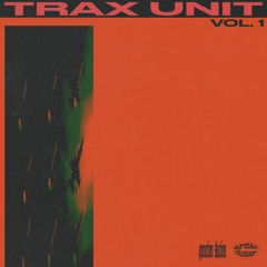 Trax Unit - You Did This To Yourself (Original Mix)