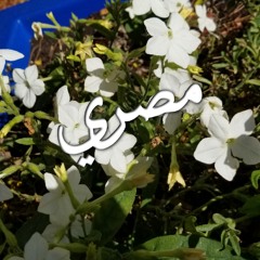 تعالي