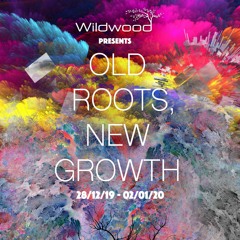 HAFNER @ Wildwood - NYE 19/20