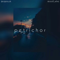 p e t r i c h o r 🌧️ | lofi hip hop / chillhop beats