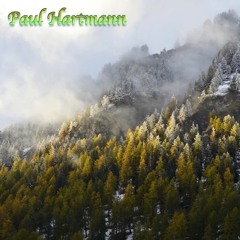 #17 Paul Hartmann - Dub Mix