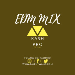 EDM MIXTAPE 2020 - DJ KASH PRO