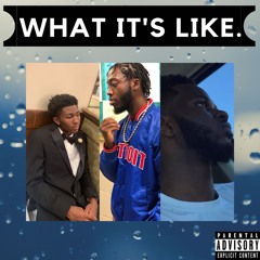 What It's Like (Feat. M.o.D)