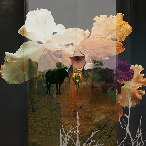 Establish (Under Pressure Sundays: BONUS TAPE 2020 edition | Side A)