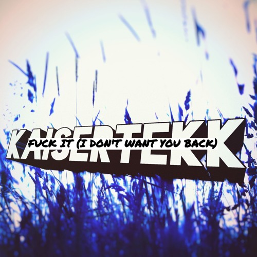 Kaisertekk - Fuck It (I Don't Want You Back)