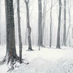Stefan Biniak - Winterpodcast 01 - 2020