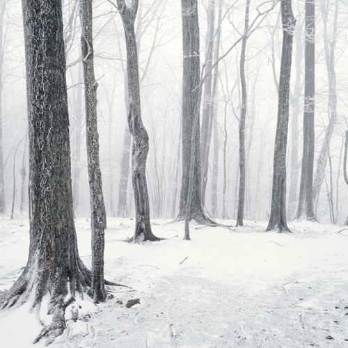 Stefan Biniak - Winterpodcast 01 - 2020