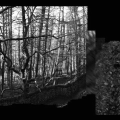 1 move (feat lili - Suzie Lefevre)