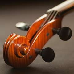 Violin Concerto - I - Allegro maestoso