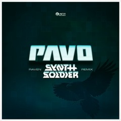 Pavo - Raven (Synthsoldier RMX)