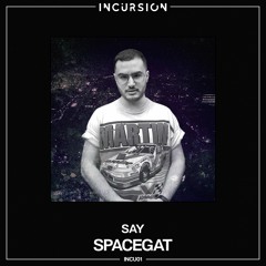SpaceGat - Say