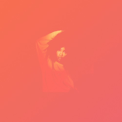 sza flip