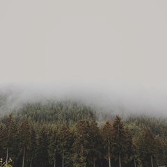 2020 ambient