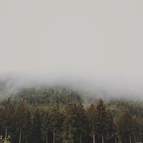 2020 ambient