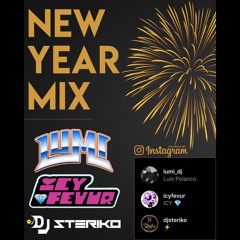 NEW YEAR 2020 Mix Ft. LUMI | ICY FEVUR | STERIKO