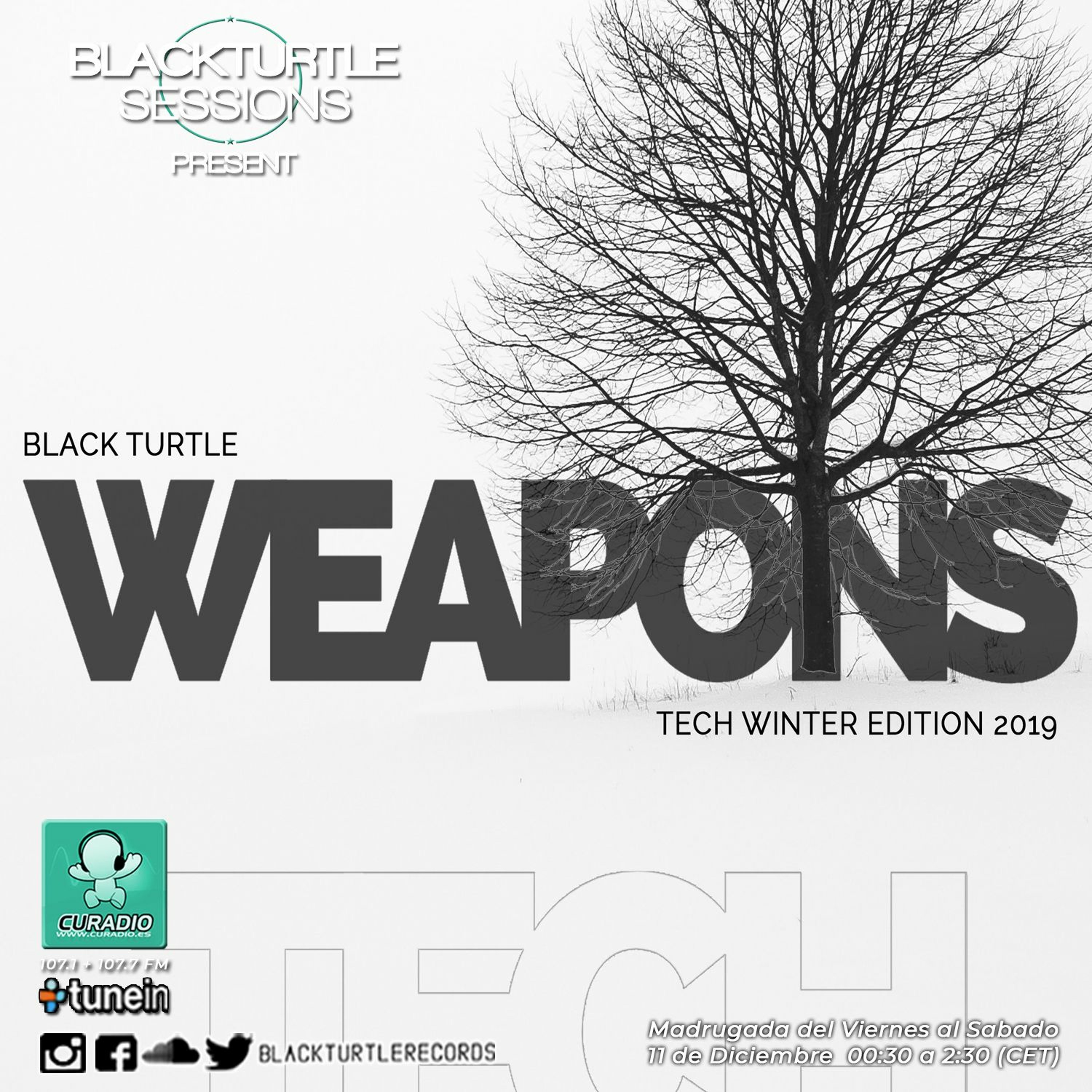 Black Turtle Records