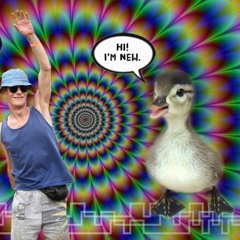 Burning Down the House – Hamma Halle, Sisyphos New Year 5th January 2020