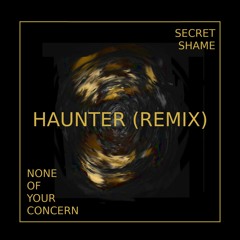 Haunter (None of Your Concern Remix)