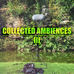 CA3 Preview Merged