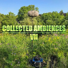 CA7 Preview Merged