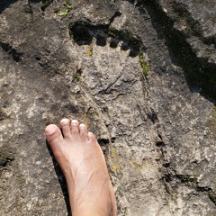 How the ancients looked at Life