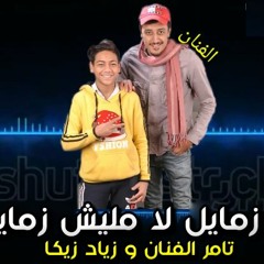 مهرجان زمايل لا مليش زمايل - تامر الفنان و زياد زيكا - توزيع استديو الفنان
