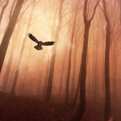 🦅