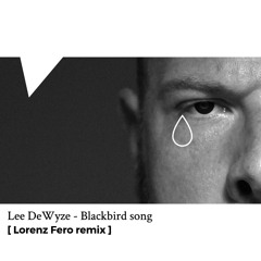 Lee DeWyze_Blackbird song [ Lorenz Fero rework ]