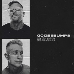 Goosebumps feat. Sara Phillips