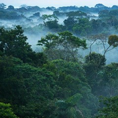 THE MYSTIC VILLAGE