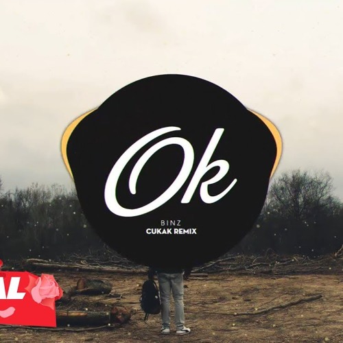 BINZ - OK ( CUKAK REMIX )