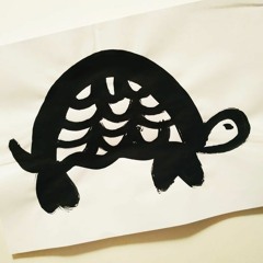 La carapace des tortues