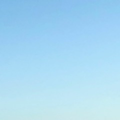 withoutu.demo