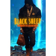 Black Sheep