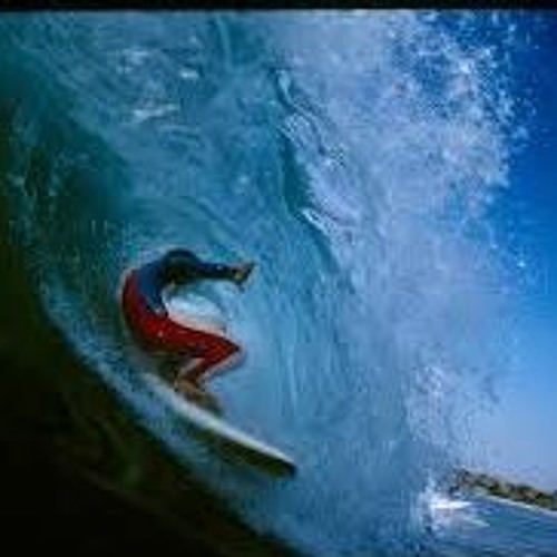 Gnarly Dude