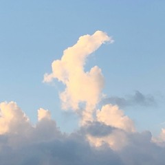 誕生日おめでとう//sweet dreams!