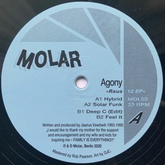 MOL02 - "Raua 12 EP" by Agony